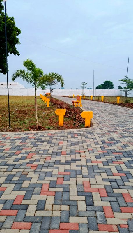 Plot For Sale in Barela Road