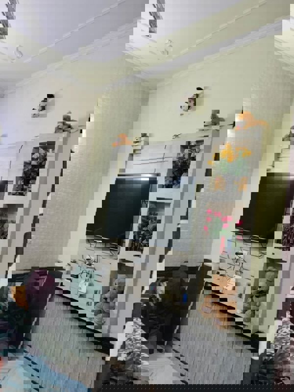 4 BHK + Store Room Independent House For Sale in Pabhat