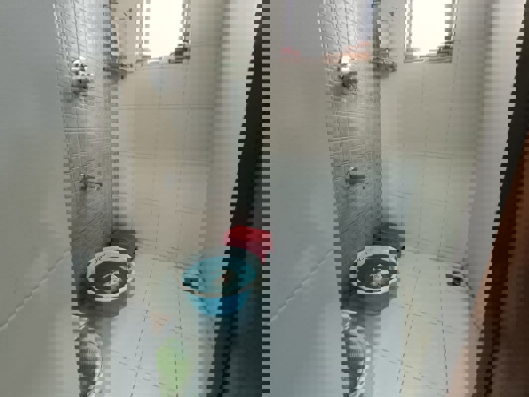 1 BHK Apartment For Rent in Ritu Paradise