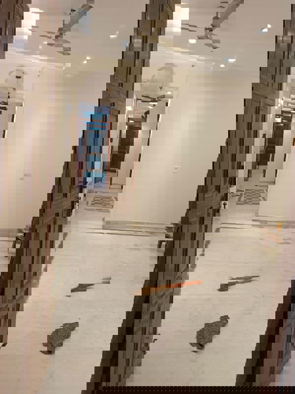 2 BHK Apartment For Rent in Lajpat Nagar I