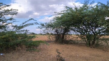 Plot Area in  Plot at Kori – for Sale