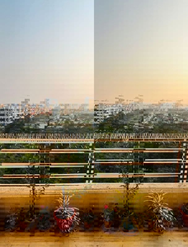 2 BHK Apartment For Rent in Pimple Saudagar