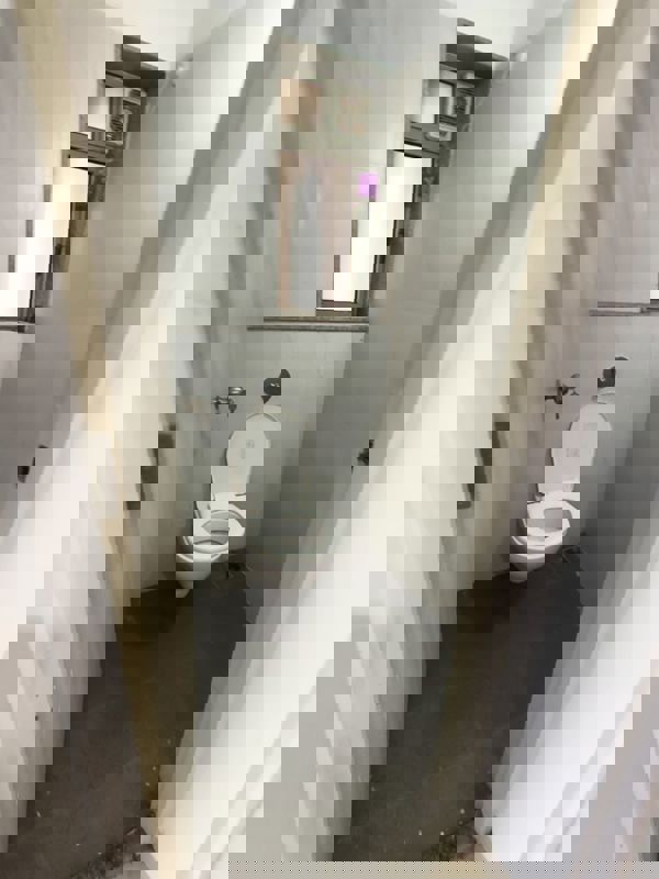 1 BHK Apartment For Rent in Lodha Casa Rio