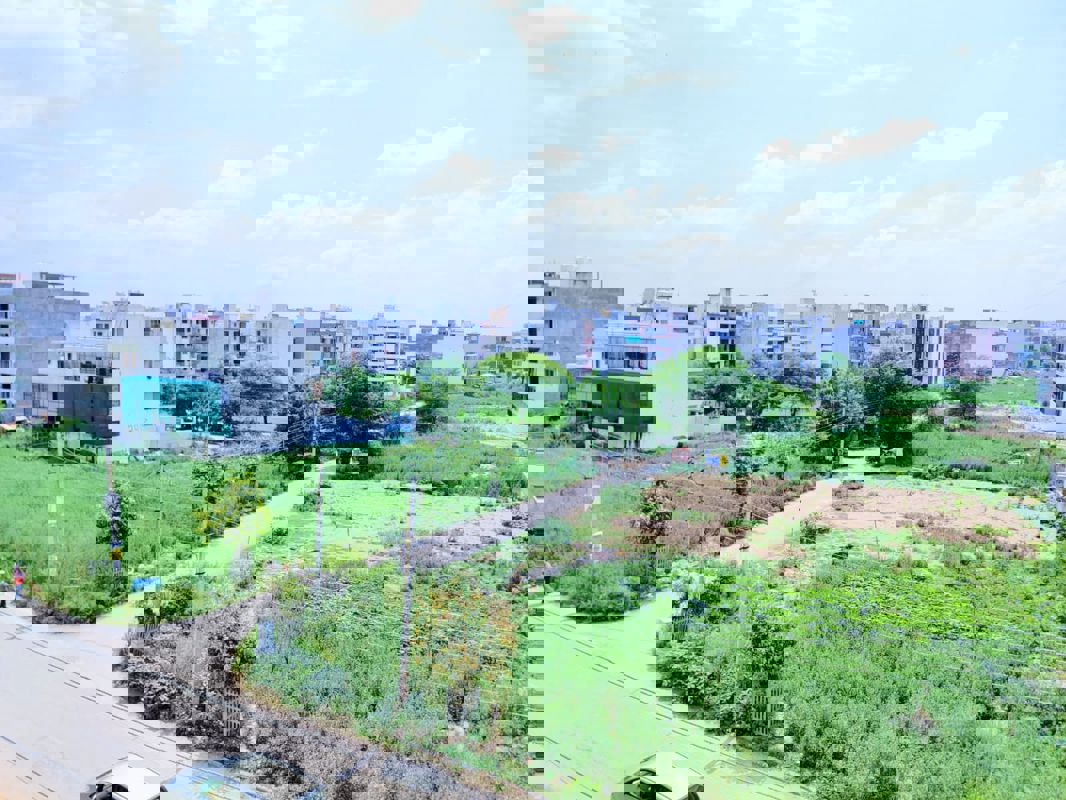 1.5 BHK Builder Floor For Rent in AEZ Aloha