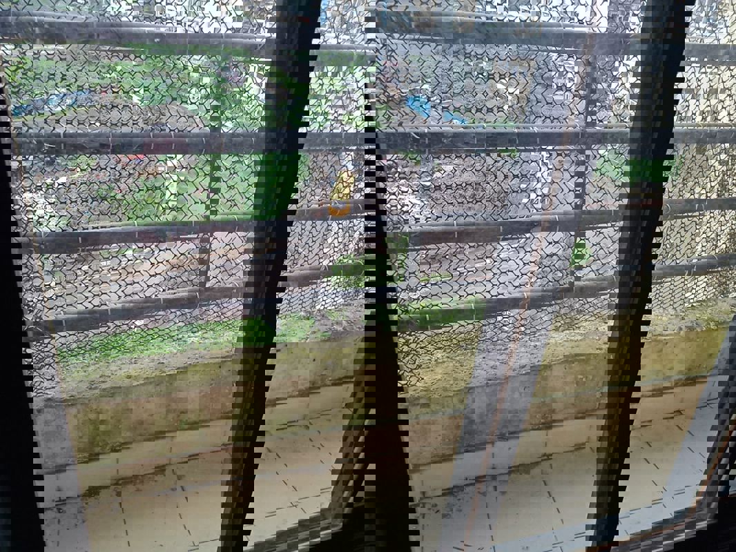 2 BHK Apartment For Rent in Kavya Hill View CHS