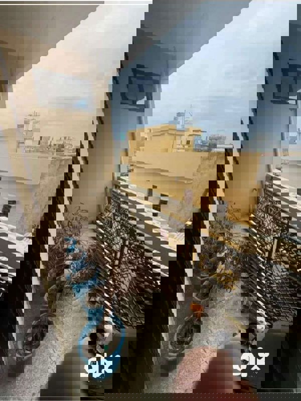 2 BHK Apartment For Rent in Gomti Nagar