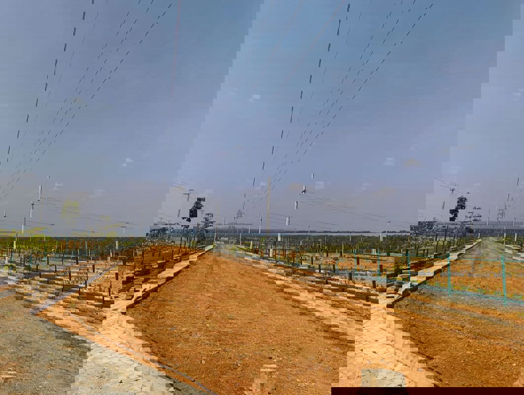 Plot For Sale in Jigani