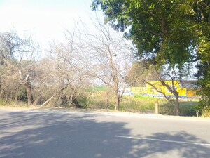  Land For Sale in Kurali