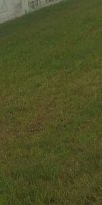 240 Sq.Yd. Land in Karnail Singh Nagar Phase II