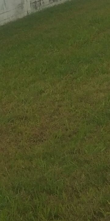  Land For Sale in Karnail Singh Nagar Phase ii