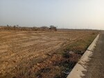 239 Sq.Yd. Plot in Wave City