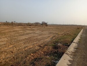 Plot Area in  Plot at Wave City, Wave City – for Sale