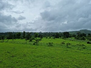 Plot Area in  Plot at Mandangad – for Sale