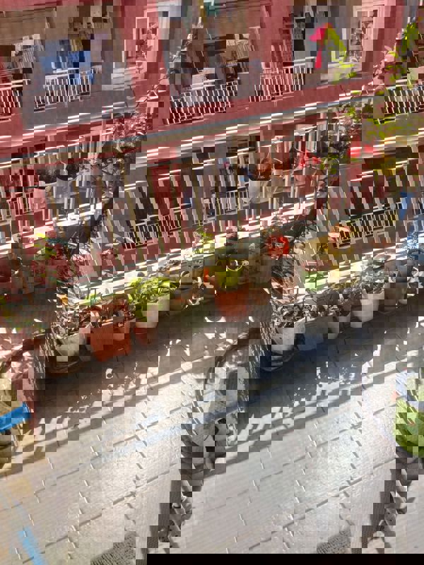 2 BHK + Pooja Room Apartment For Rent in Brigade Bricklane