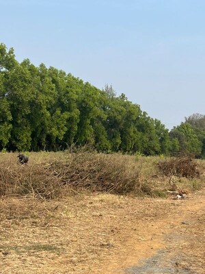 Plot Area in  Plot at Vangaon – for Sale