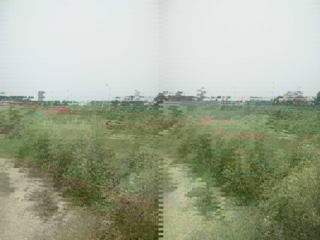 Plot For Sale in Sector 75