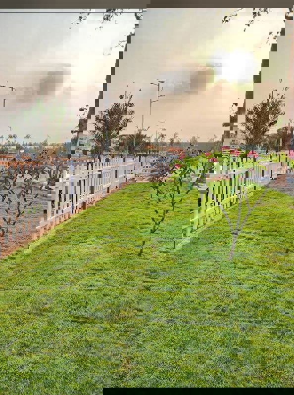 Plot For Sale in Jigani