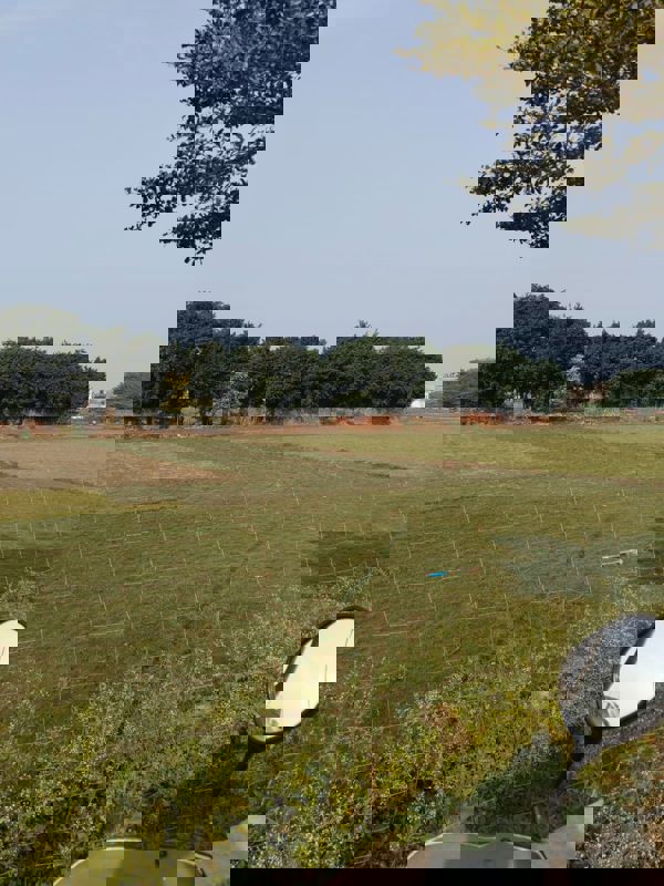 Plot For Sale in Sector 55