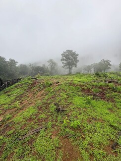 Plot For Sale in Girivan Plots