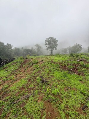  Plot – Garden View at Girivan Plots, Mulshi - for Sale