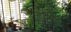 Balcony in 2 BHK Apartment at Pimple Nilakh – for Rent