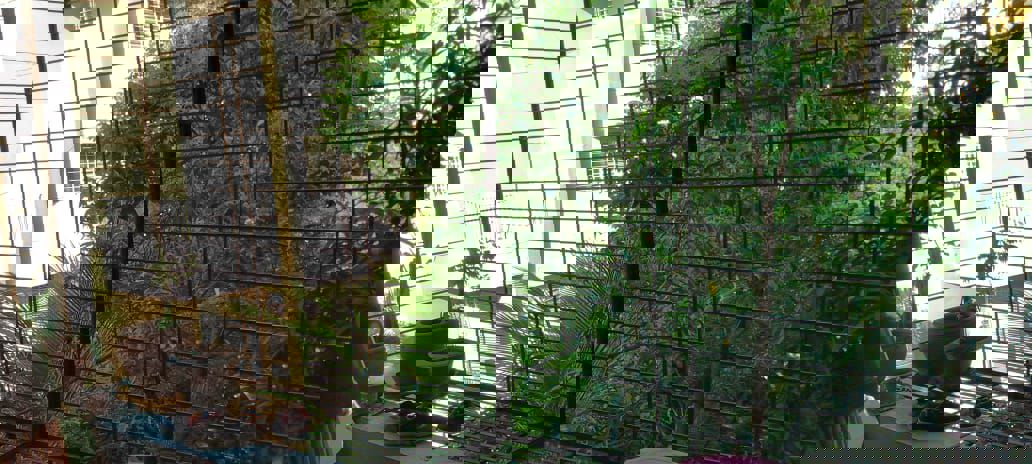 2 BHK Apartment For Rent in Pimple Nilakh