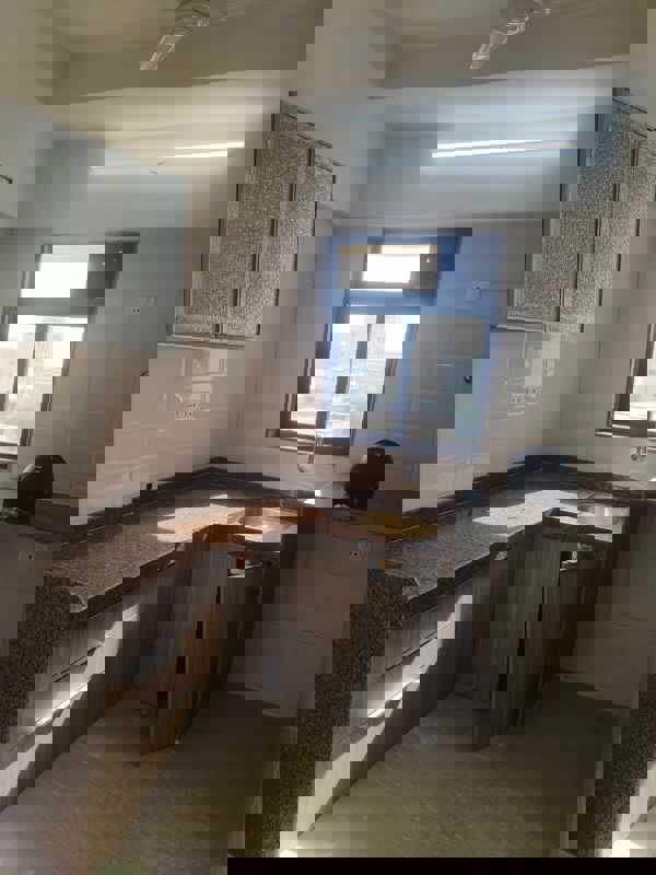 1 BHK Apartment For Rent in Chandiwala Pearl Heaven