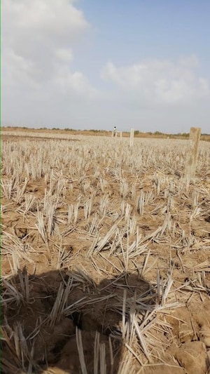 Plot Area in  Plot at Uran – for Sale