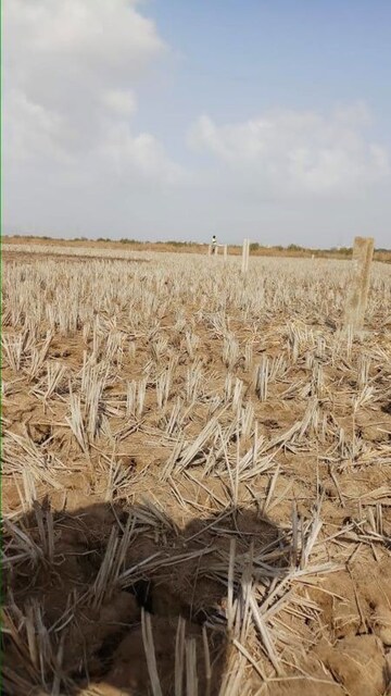 Plot Area in  Plot at Uran – for Sale