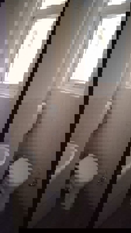 3 BHK + Pooja Room Apartment For Rent in Umang Winter Hills