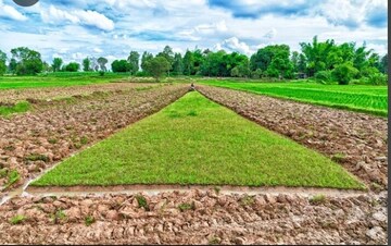  Plot For Sale in Yamuna Apartments Nigdi, Nigdi