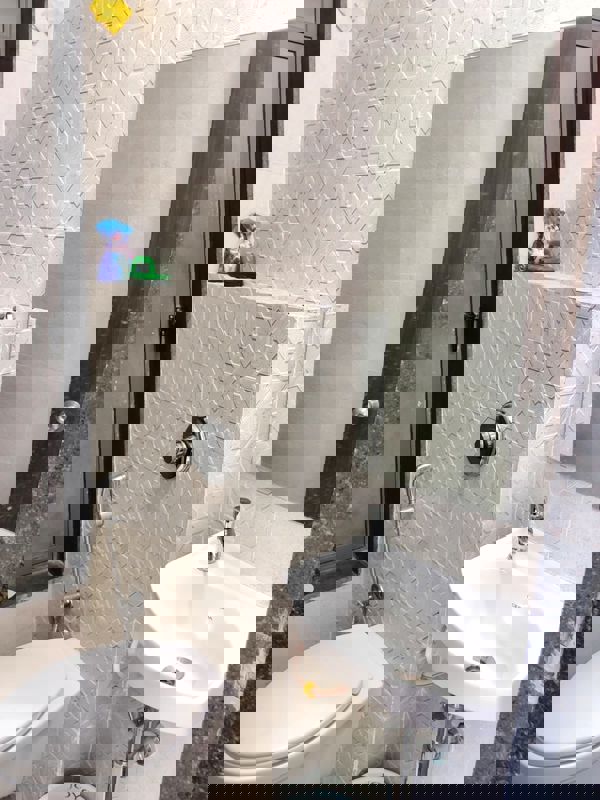 1 BHK Apartment For Rent in UK Iridium