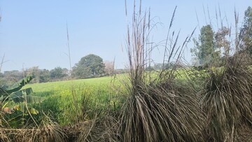  Land For Sale in Nawabganj