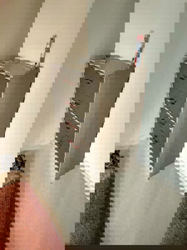 2 BHK + Pooja Room Apartment For Rent in Raghav Marvel