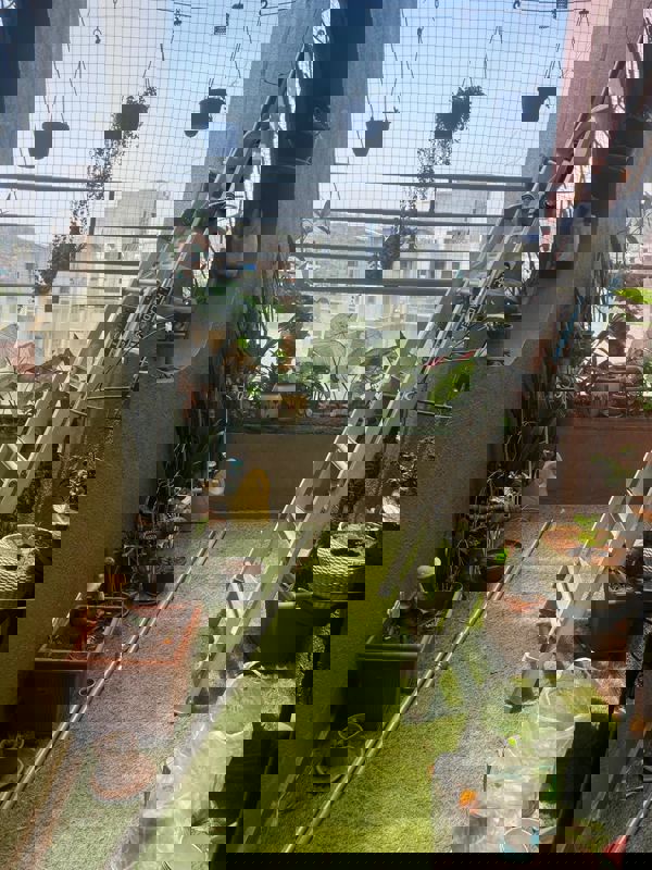 2 BHK + Extra Room 1250 Sq.Ft. Apartment in Pebbles I