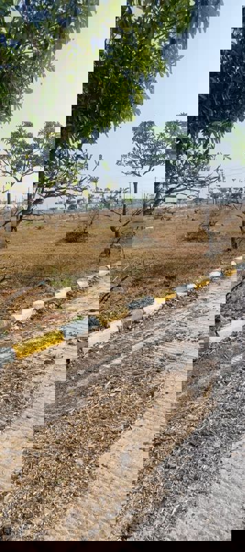 Plot For Sale in Fortune Butterfly City