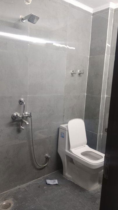 1 BHK Apartment For Rent in Chattarpur