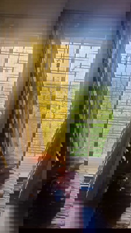 5 BHK + Pooja Room 2400 Sq.Ft. Penthouse in NRI Complex Phase I