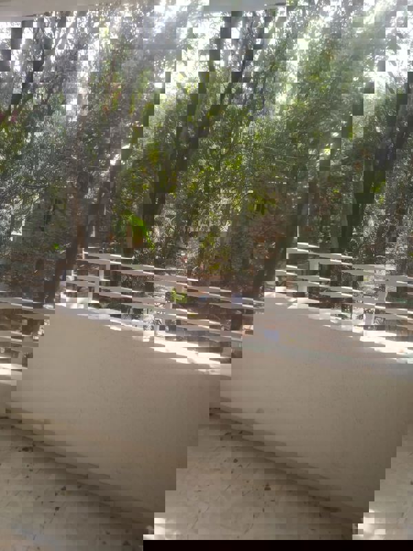 2 BHK Apartment For Rent in Sharada Alliance Paritosh