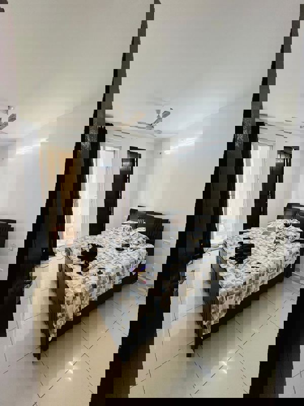 3 BHK Apartment For Rent in Maxxus Elanza