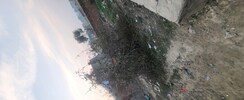 Plot For Sale in Sabhapur