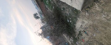  Plot – Exterior View View at Sabhapur - for Sale