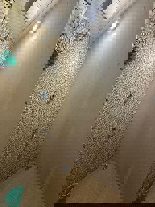 1 BHK Apartment For Rent in Lodha Palava Downtown Dombivli East