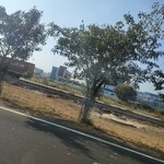 100 Sq.Yd. Plot in Gaur Yamuna City