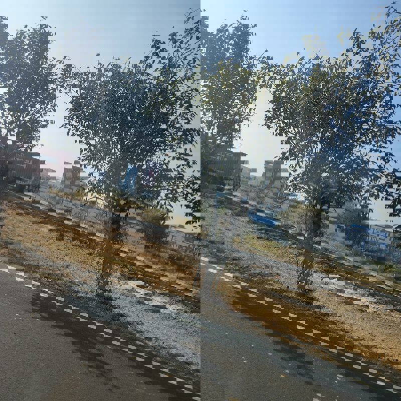 Plot For Sale in YEIDA Plots