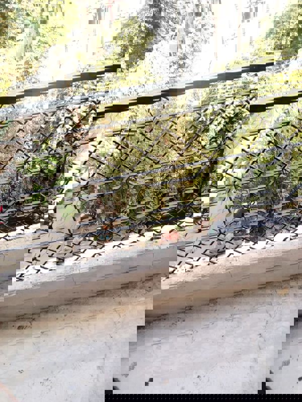 1.5 BHK + Study Room Villa For Rent in Sector 36