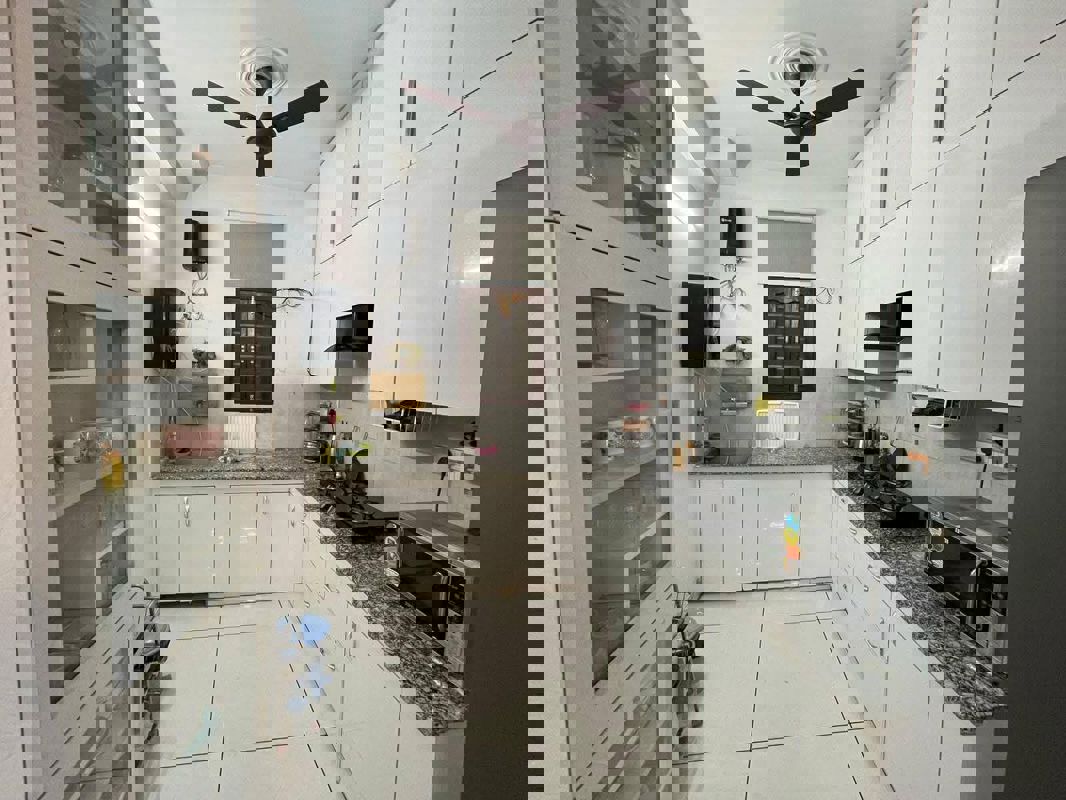 3 BHK Apartment For Rent in Saket