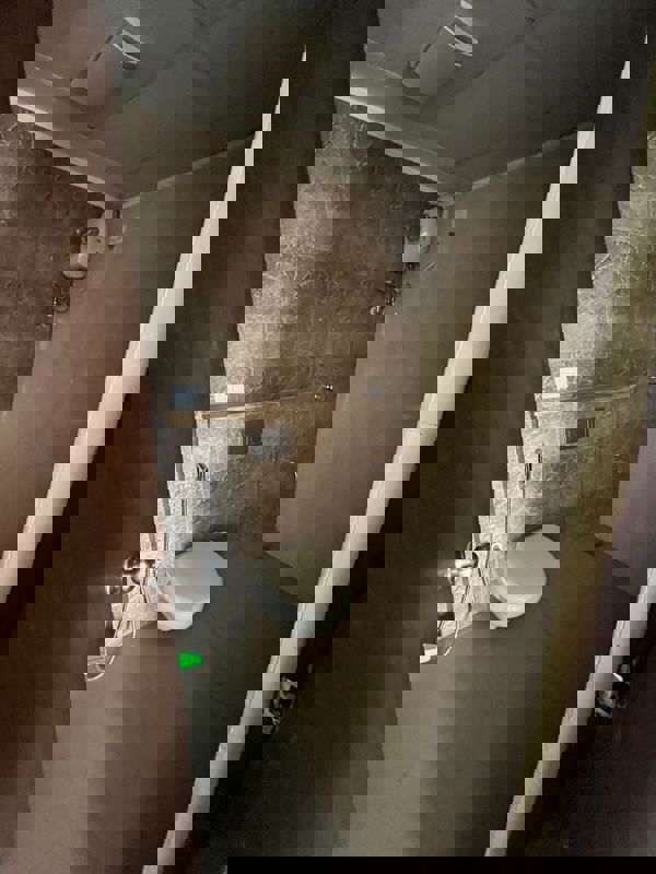 1 BHK Apartment For Rent in Lodha Downtown