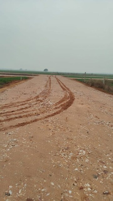  Plot For Sale in Jhajjar Road