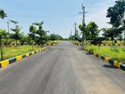 Plot For Sale in True Platinum Burgula